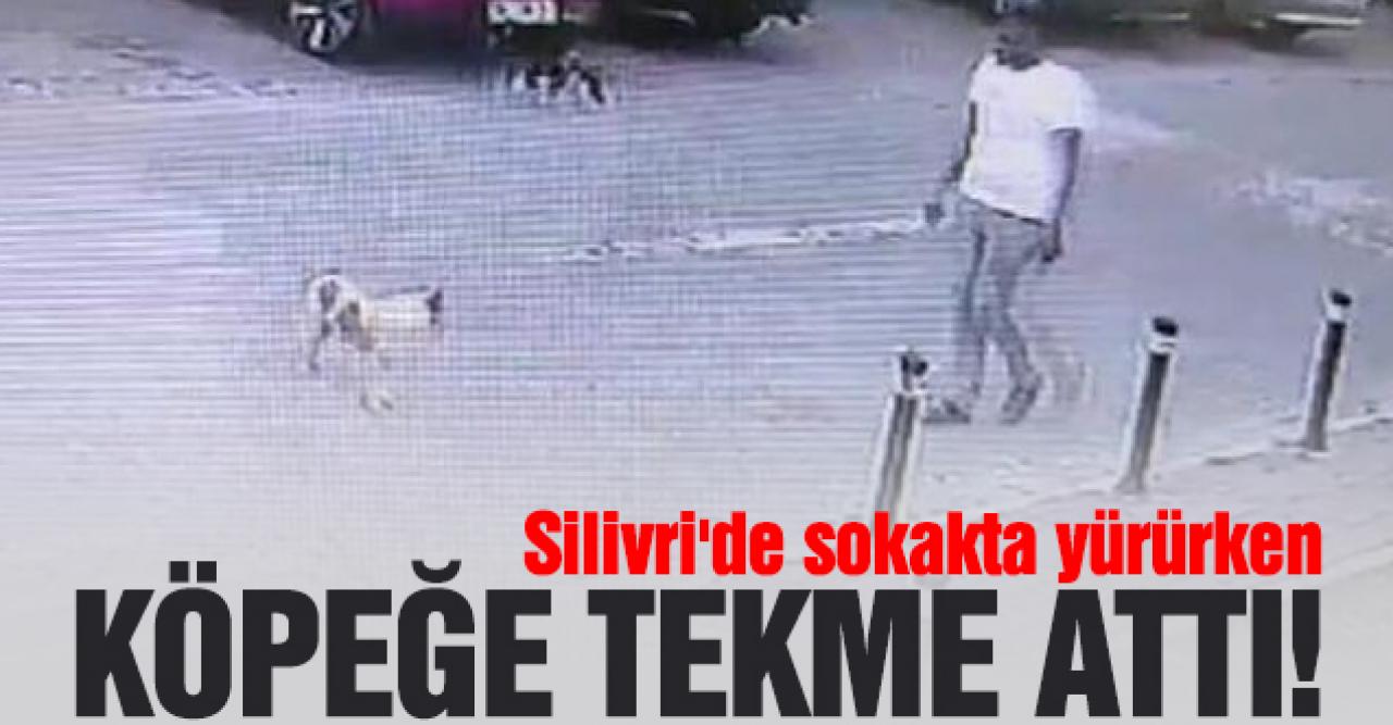 Silivri'de köpeğe tekme attı