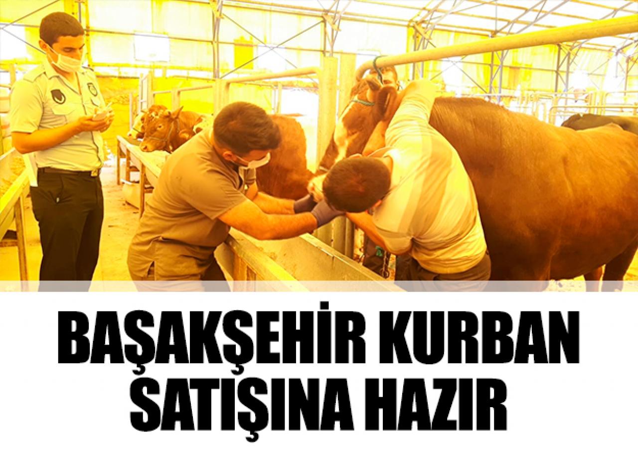 Başakşehir kurbana hazır