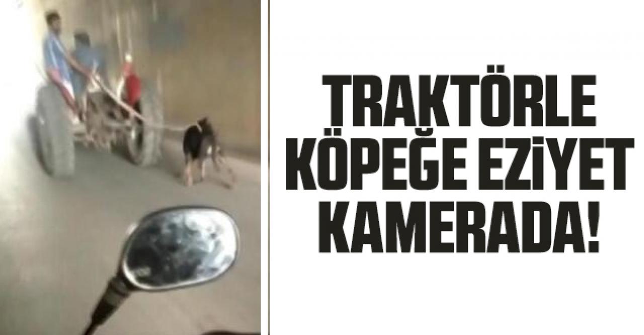 Traktöre bağlanan köpeğe eziyet kamerada