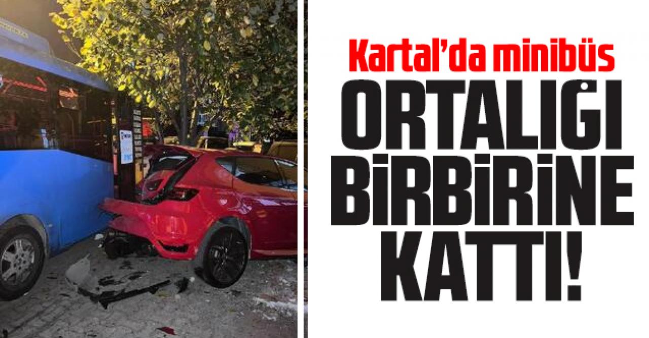 Kartal'da yolcu minibüsü ortalığı birbirine kattı: 1 yaralı