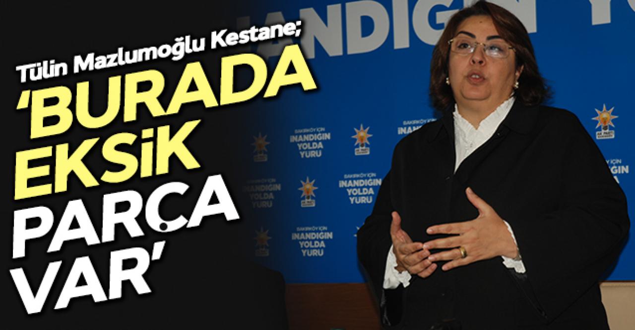 Tülin Mazlumoğlu Kestane: Burada eksik bir parça var!