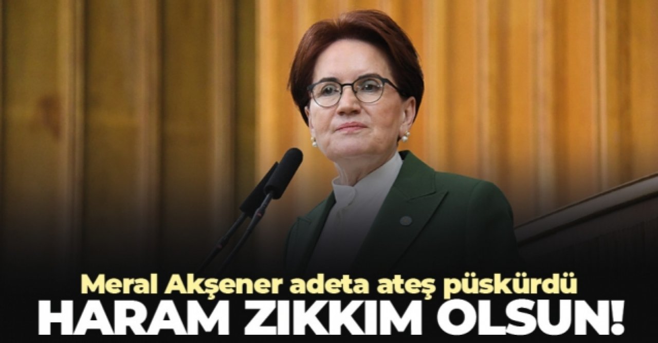 Meral Akşener: Haram zıkkım olsun!