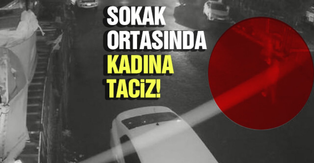 Sultanbeyli'de sokak ortasında kadına taciz