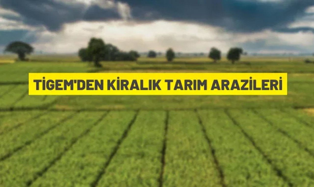 Çukurova Tarım İşletmesi Müdürlüğü, tarım arazilerini kiraya verecek