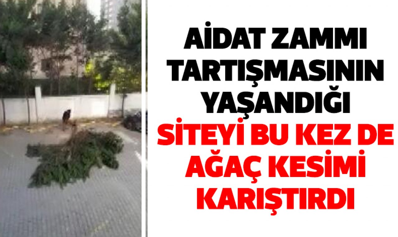 Büyükçekmece'de aidat zammının karıştırdığı site bu kez de ağaç kesimi ile gündemde