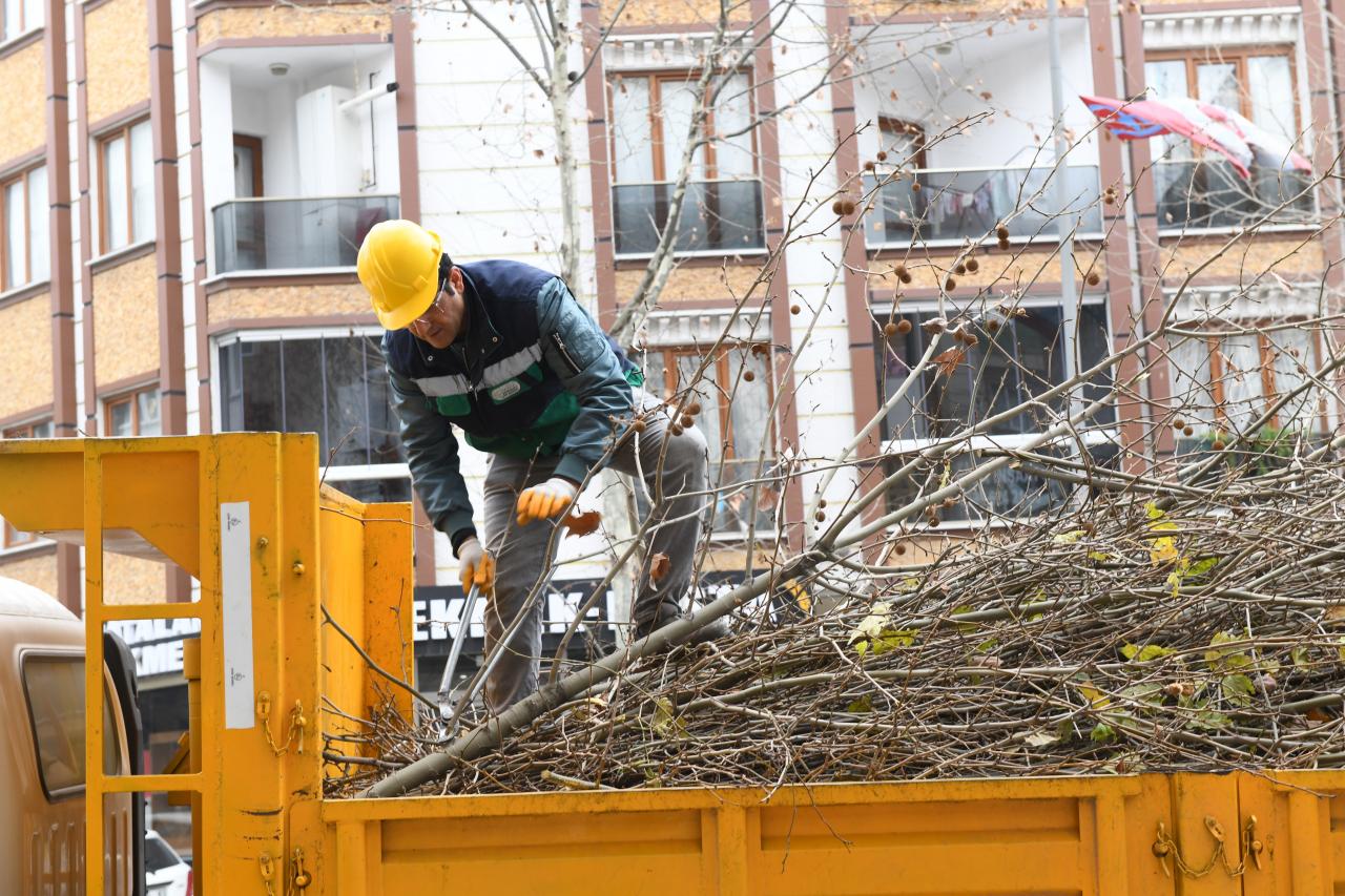 Esenyurt'ta 43 mahallede budama yapıldı