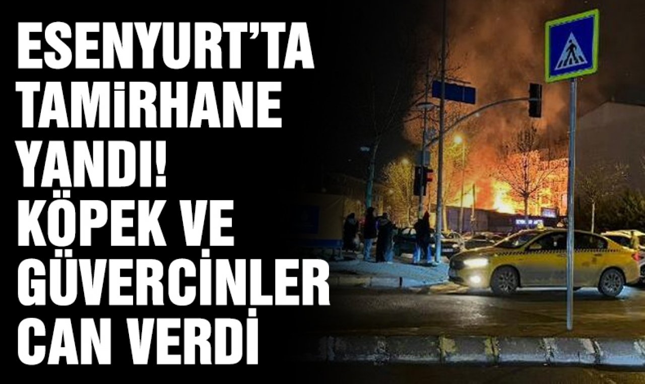 Esenyurt'ta tamirhane alev alev yandı; köpek ve güvercinler can verdi