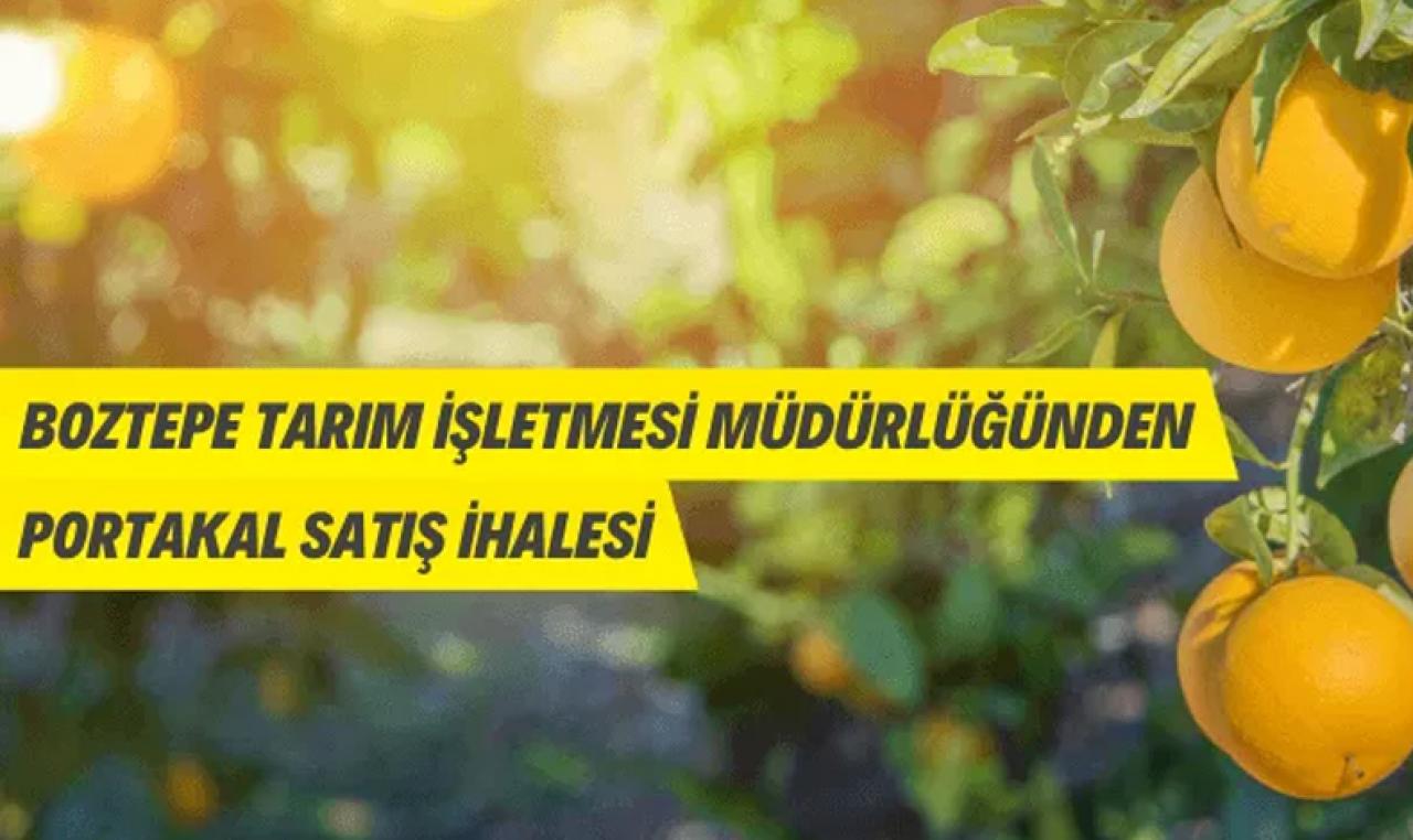 Boztepe Tarım İşletmesi Müdürlüğünden portakal satış ihalesine davet