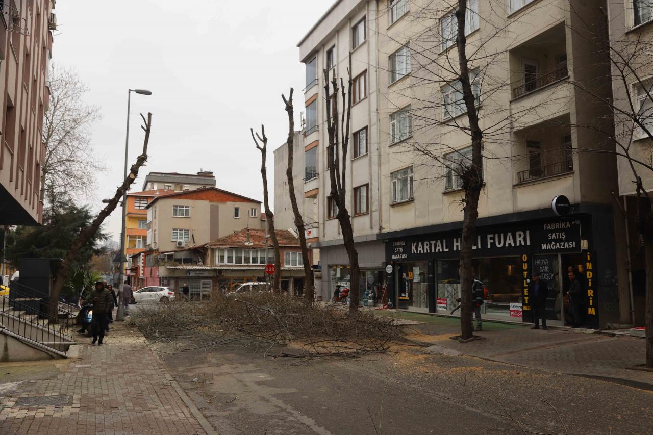 Kartal’da bahara hazırlık için binlerce ağaç budandı