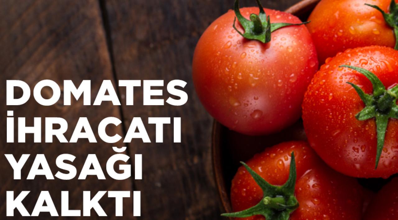 Domates ihracatı yasağı kalktı