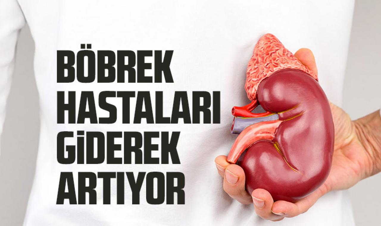 Böbrek hastalıkları giderek artıyor