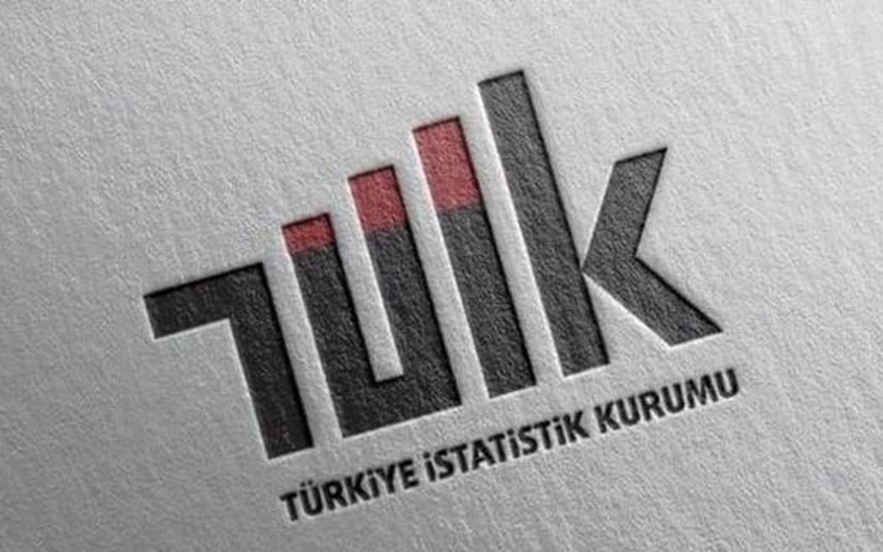 TÜİK dış ticaret endekslerini açıkladı