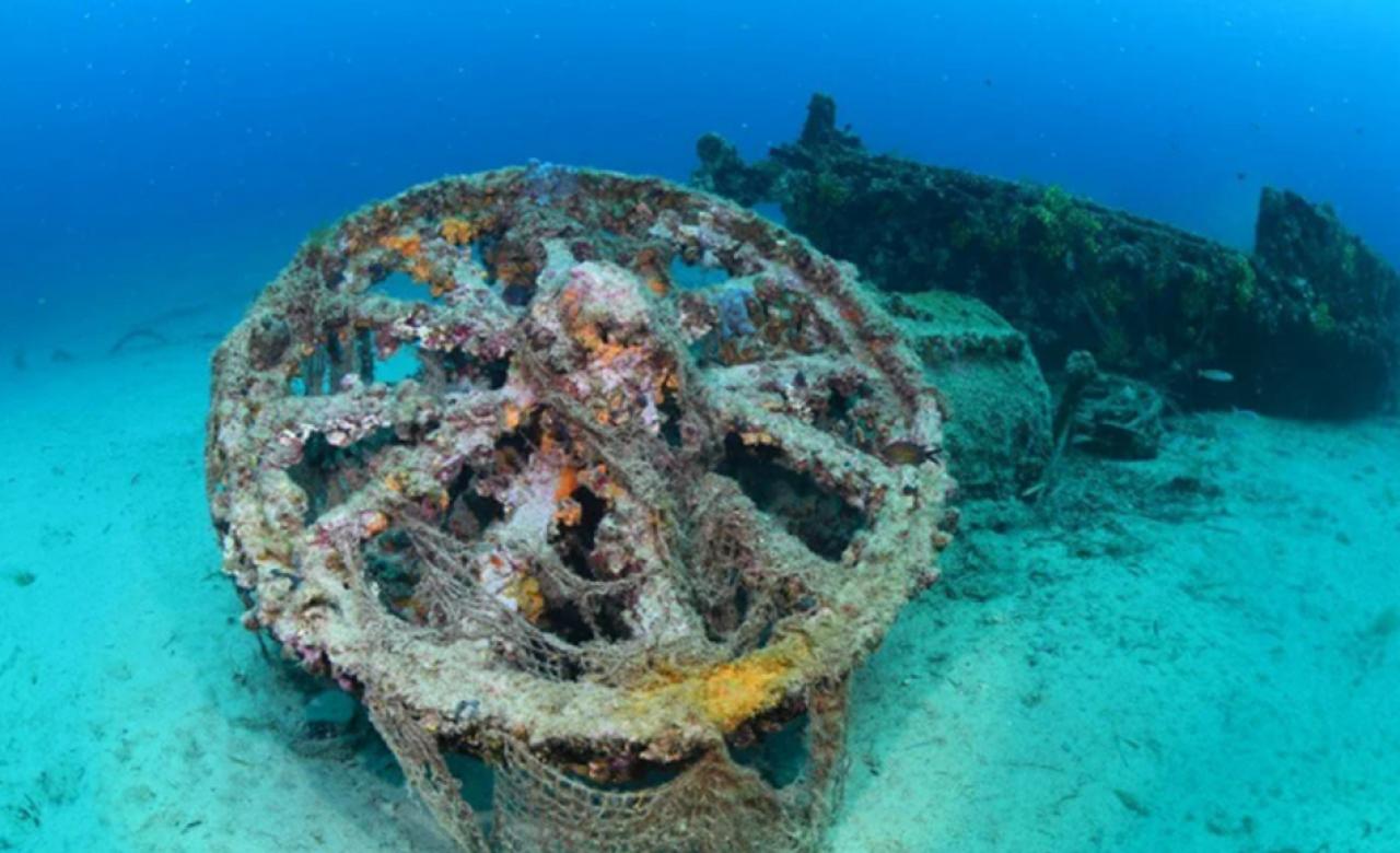 Çanakkale Savaşları'ndan kalma 108 yıllık batık gemiler görüntülendi