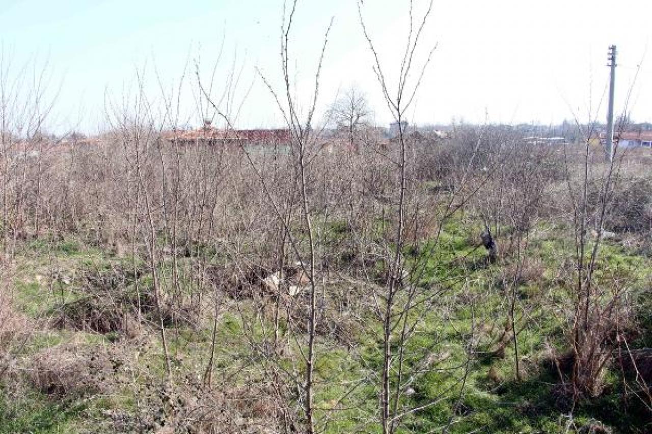 Prof. Dr. Beksaç: Edirne'deki Katolik mezarlığını defineciler tahrip etti