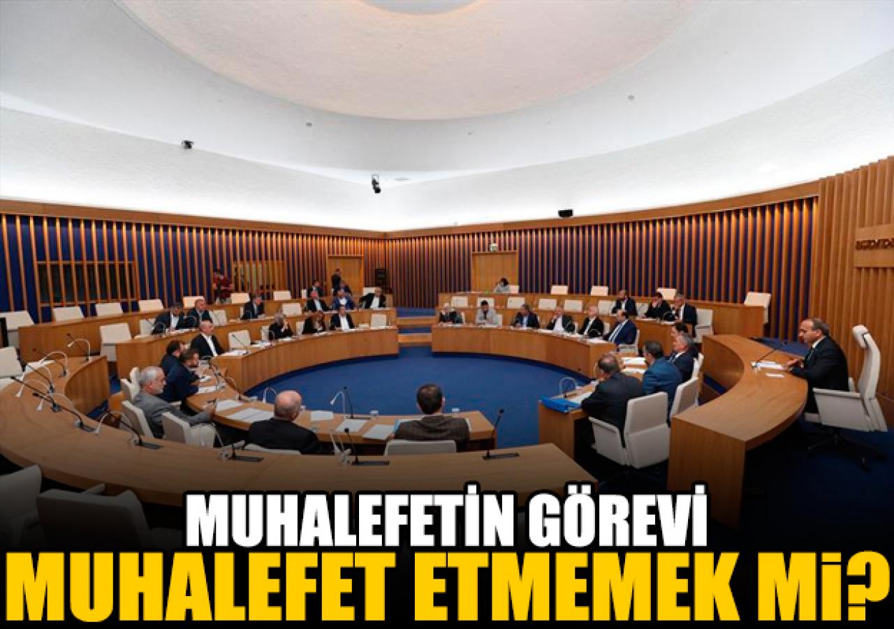 Muhalefetin görevi muhalefet etmemek mi?