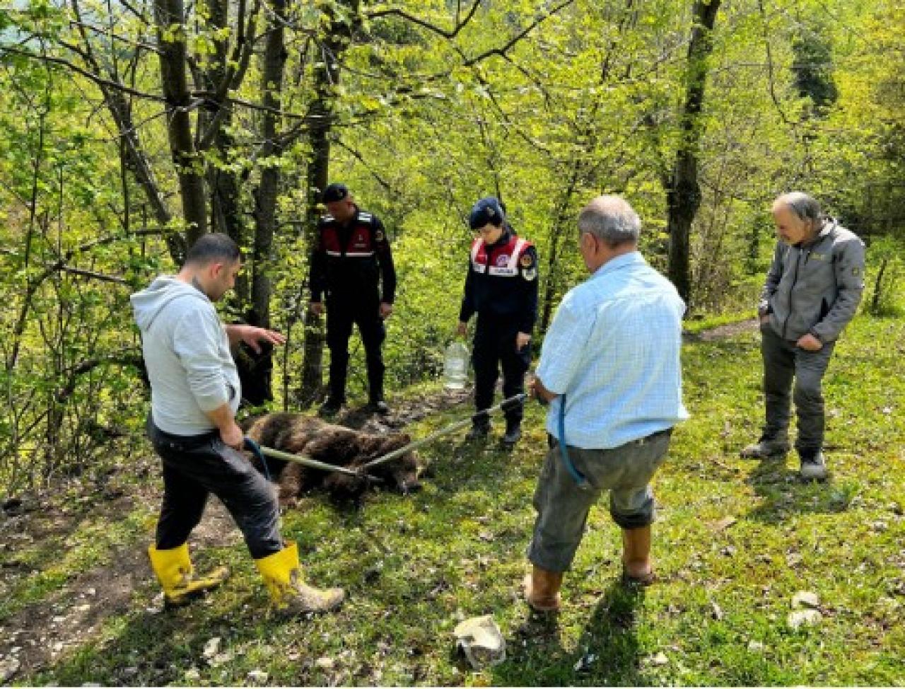 Ormanda belden aşağısı tutmaz halde bulundu