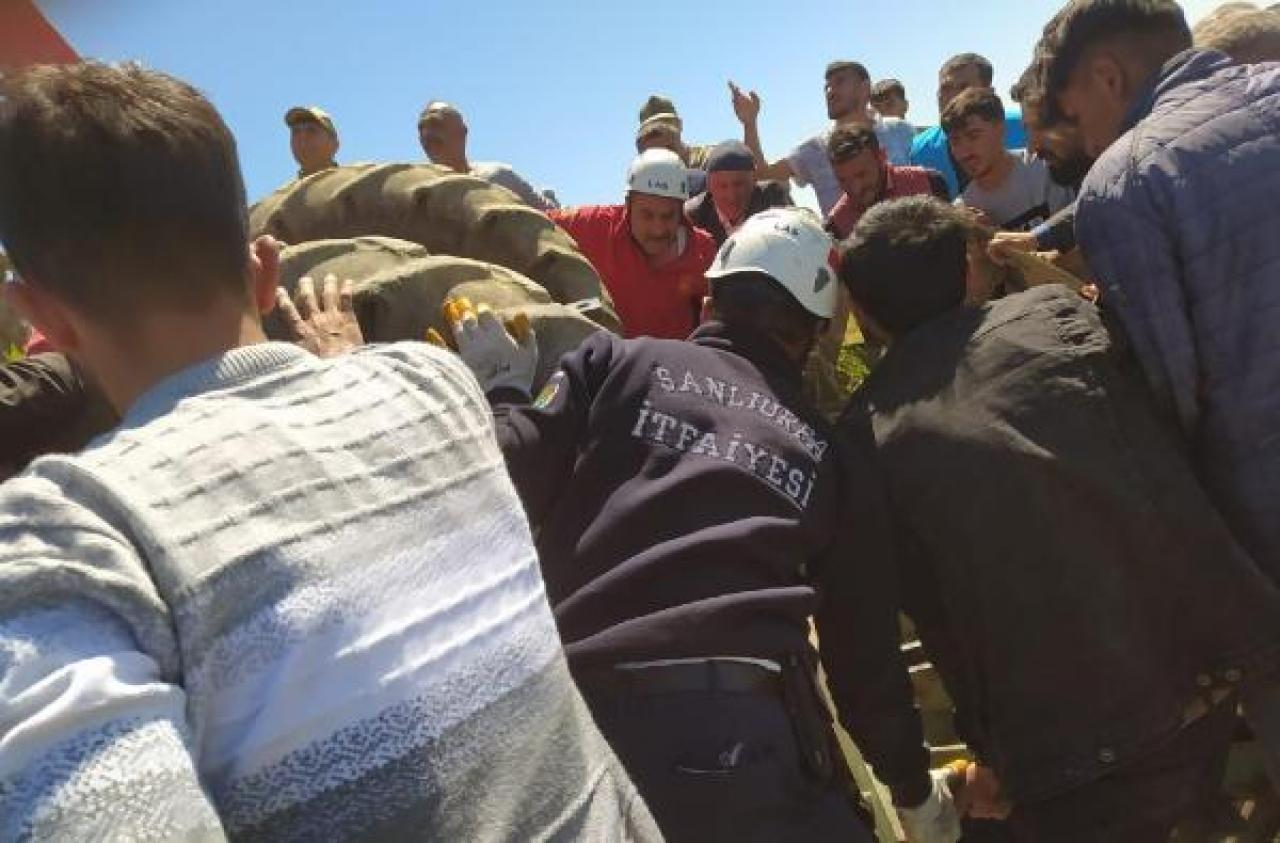 Şanlıurfa'da, devrilen traktörün sürücüsü öldü