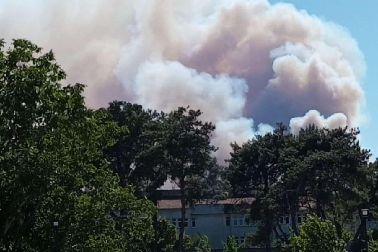 İzmir ve Manisa'da orman yangını