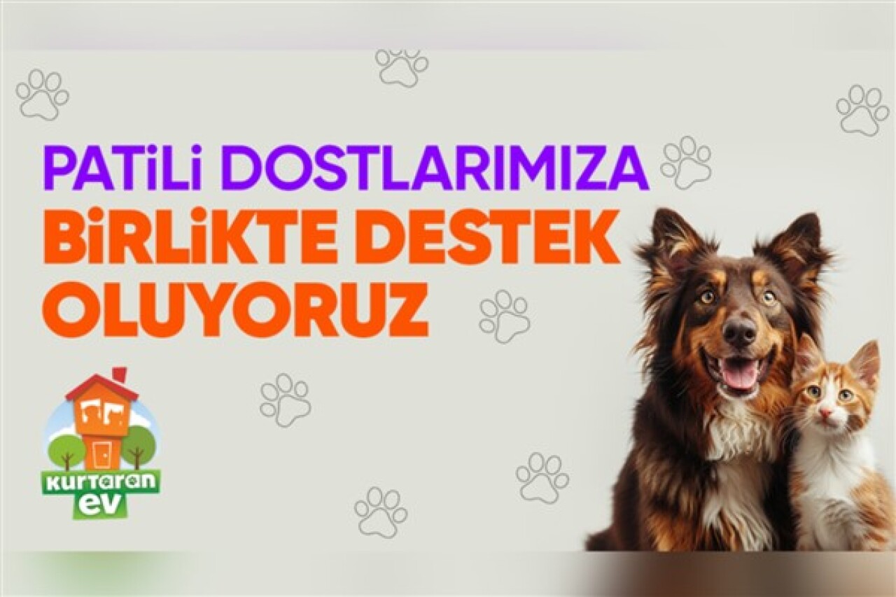 Hepsiburada, Dünya Köpek Günü'nde Patili Dostlara Destek sayfasını açıyor