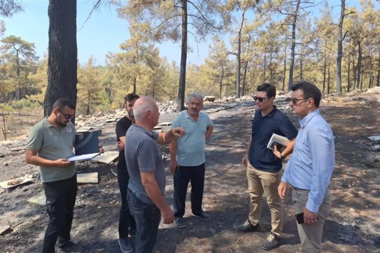 Muğla Büyükşehir Belediyesi, yangından etkilenen arıcılara destek olacak