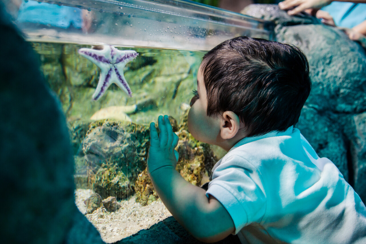 LEGOLAND® Discovery Centre, SEA LIFE ve Madame Tussauds ile okula neşeli bir başlangıç