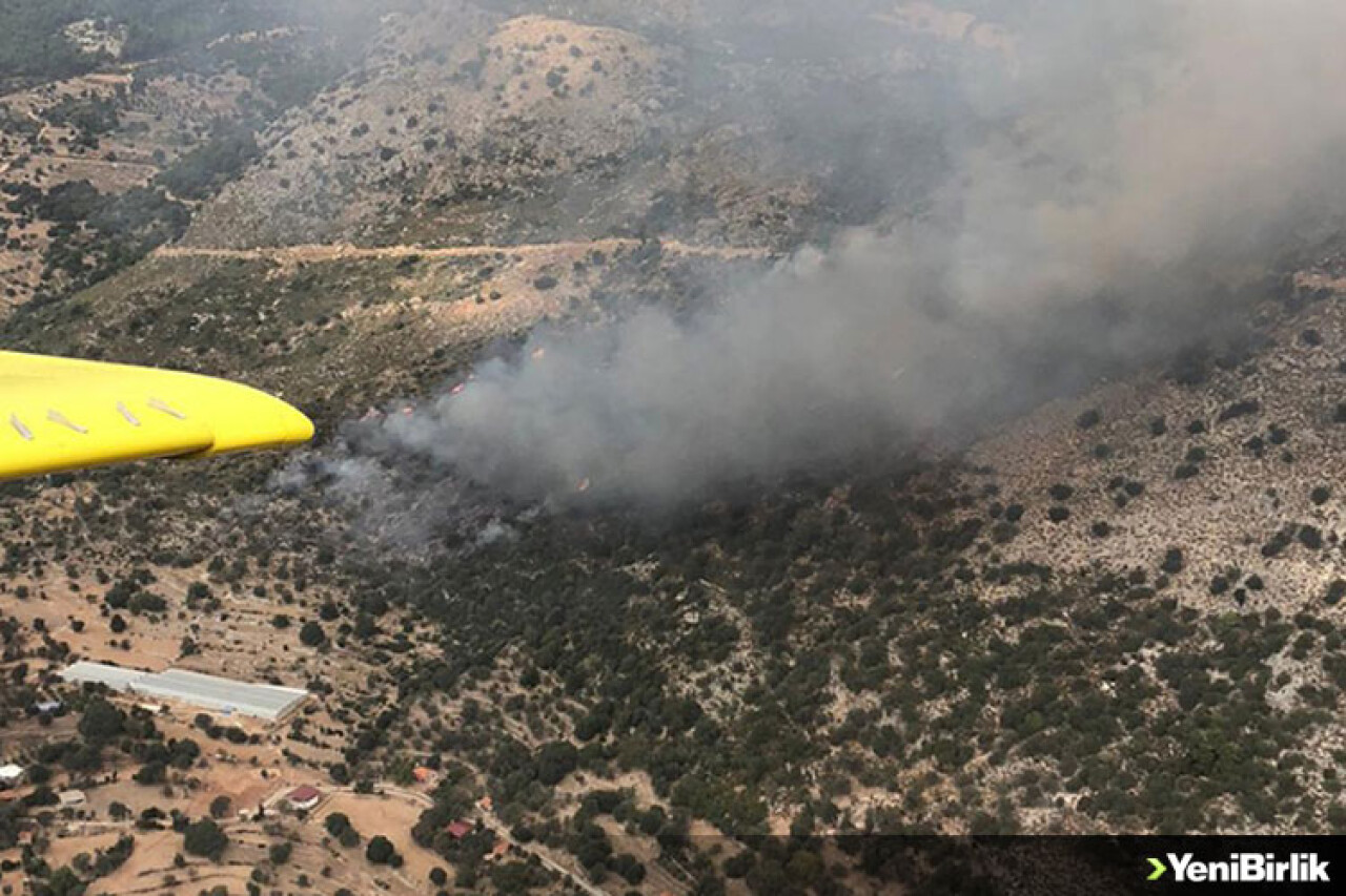 Muğla'da makilik ve tarımsal alanda yangın çıktı