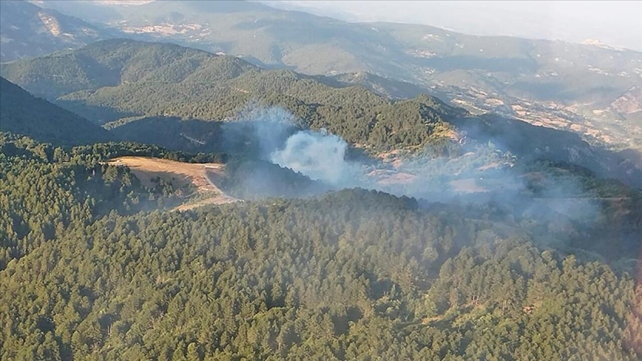 Balıkesir İvrindi'de çıkan orman yangını kontrol altına alındı