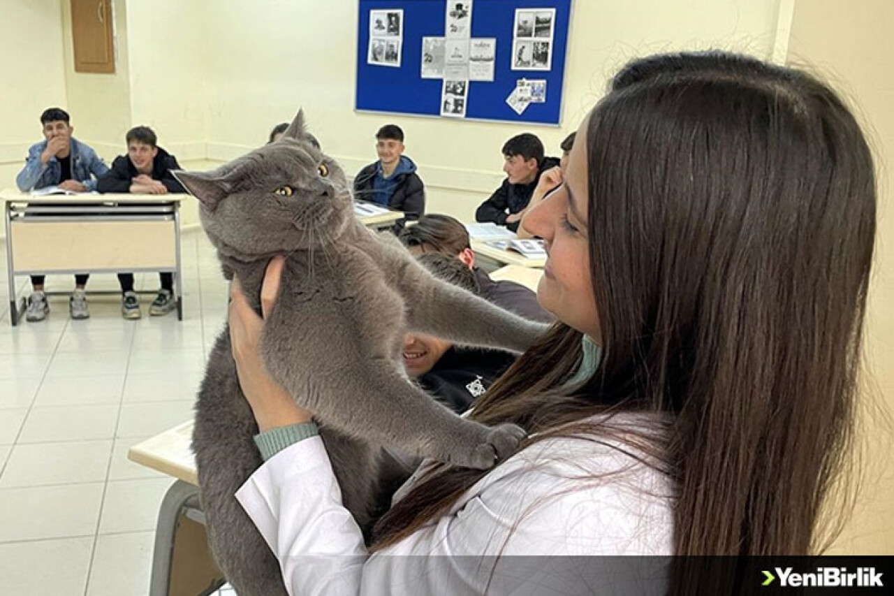 Matematik öğretmeninin kedisi "Başkan"ı lise öğrencileri çok sevdi