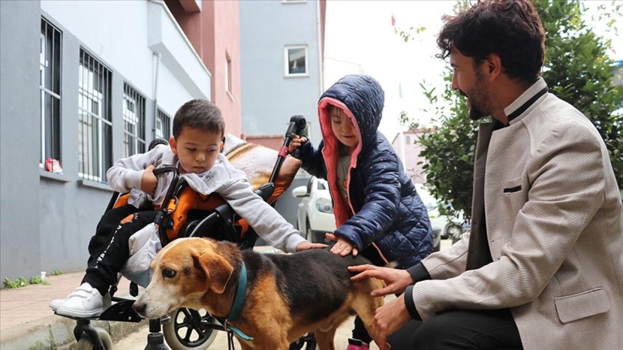 Gözleri görmeyen köpeğe öğretmenler ve özel eğitim öğrencileri sahip çıktı