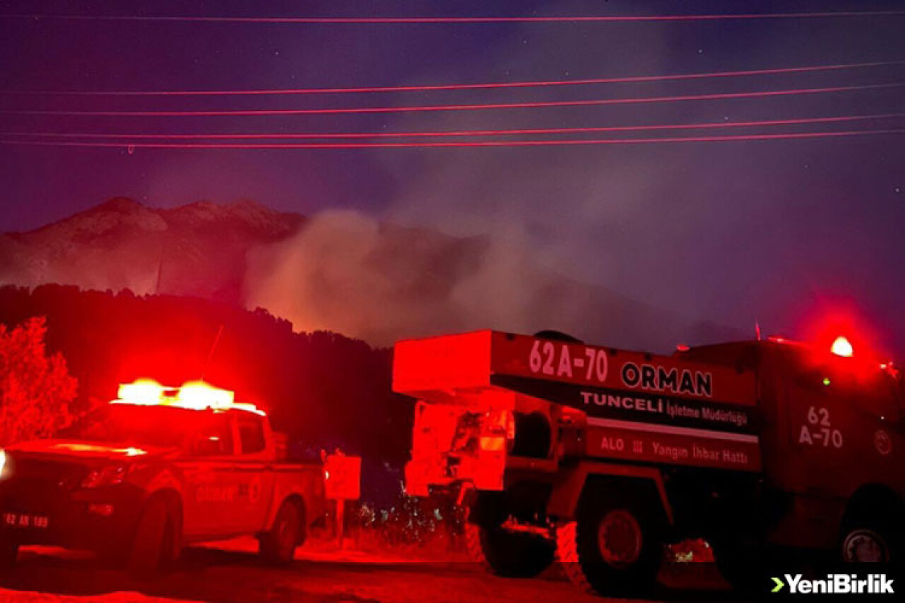 Tunceli'de çıkan orman yangınına müdahale ediliyor