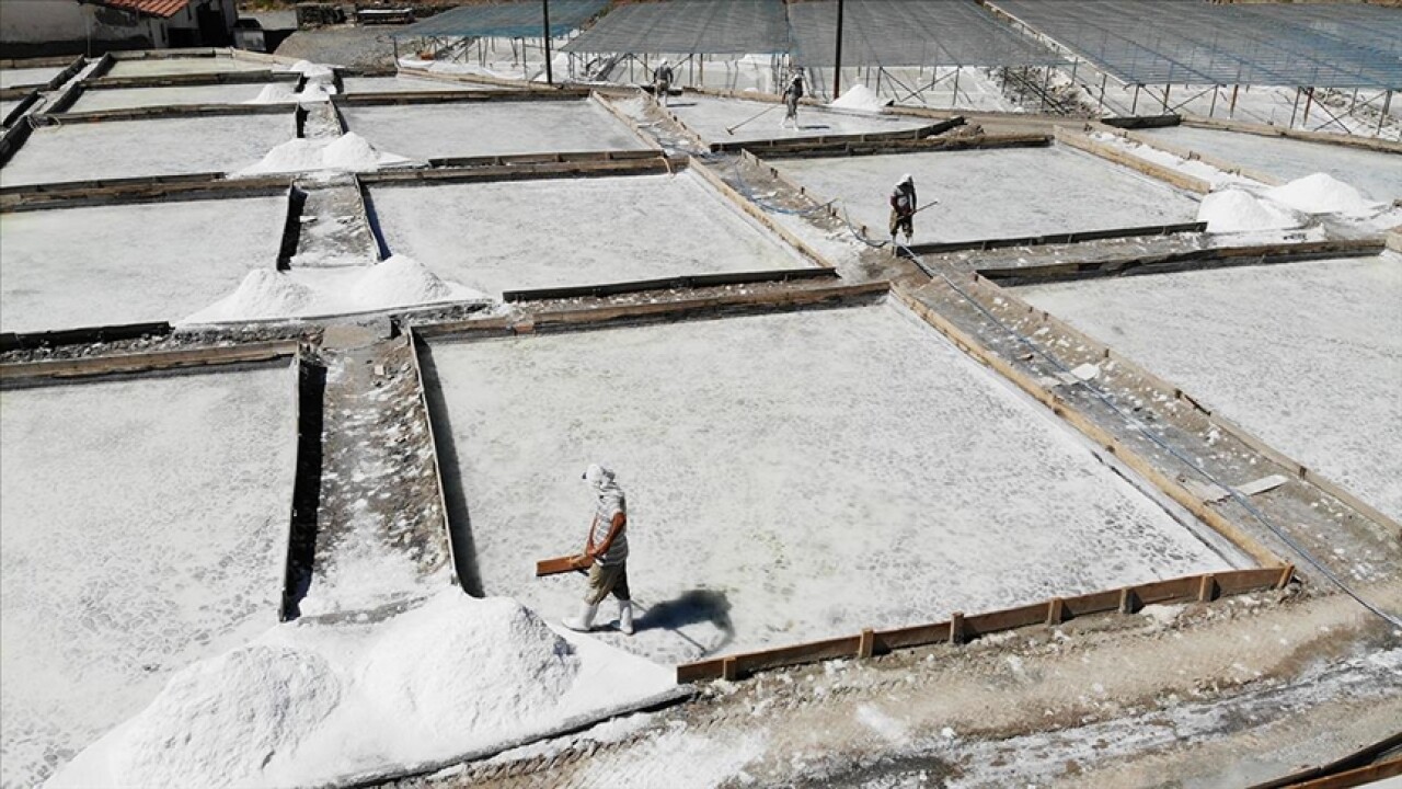 Erzincan'da doğal yöntemlerle çıkarılan Kemah tuzu tescillendi