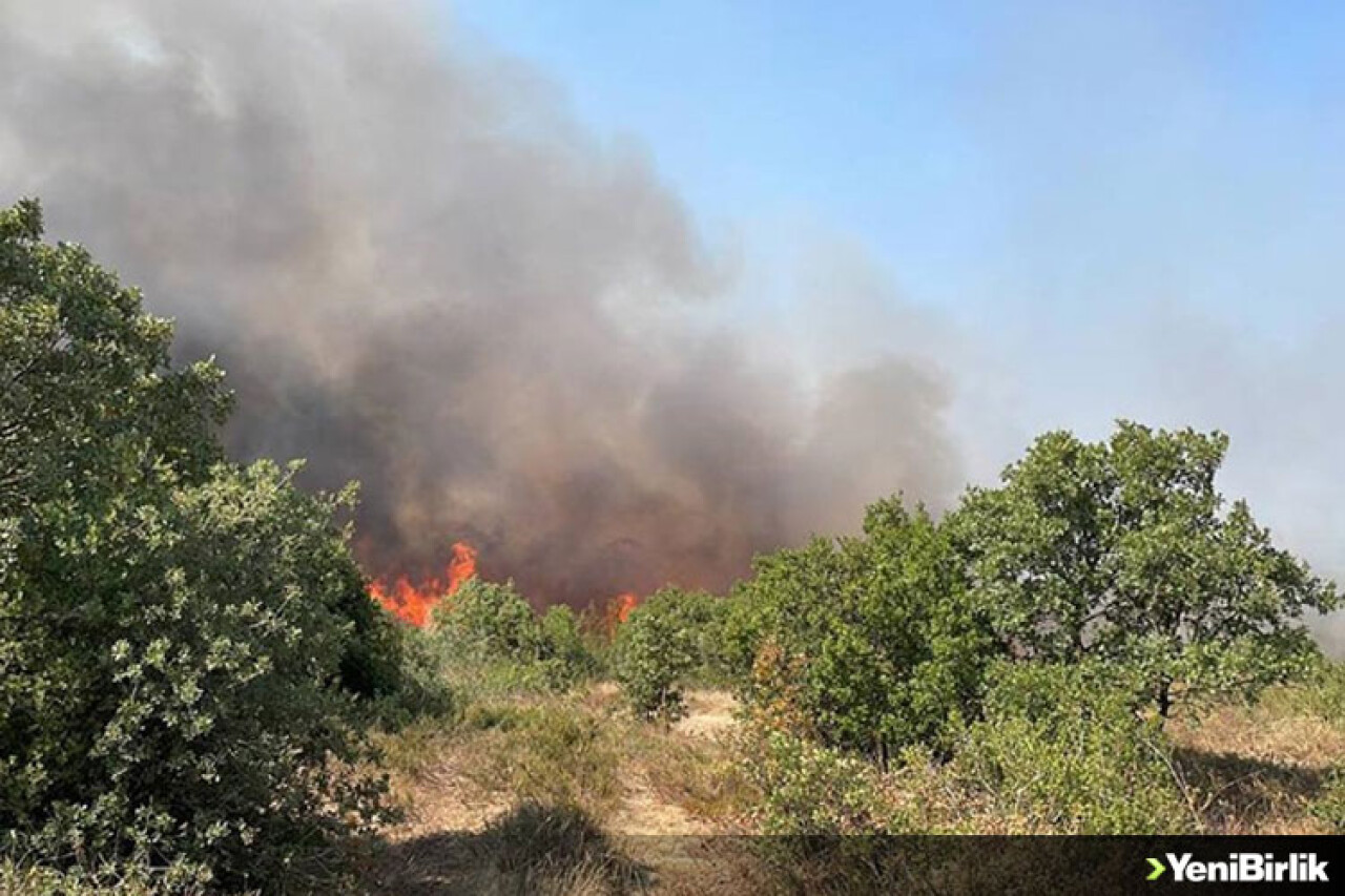 Çanakkale'de ağaçlık alanda çıkan yangın kontrol altına alındı