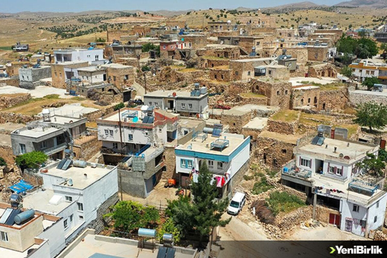 Mehmet Şimşek'in Hazine ve Maliye Bakanlığına getirilmesi doğduğu köyde sevinçle karşılandı