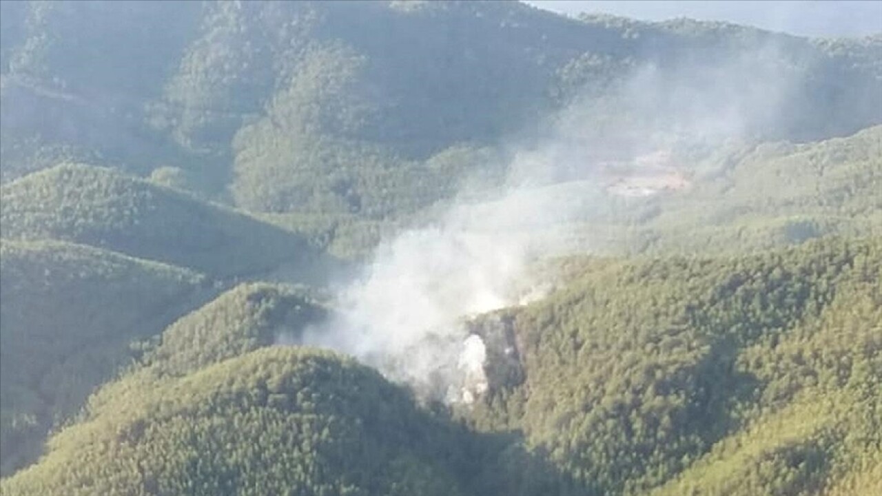 Muğla'da çıkan orman yangınına havadan ve karadan müdahale ediliyor