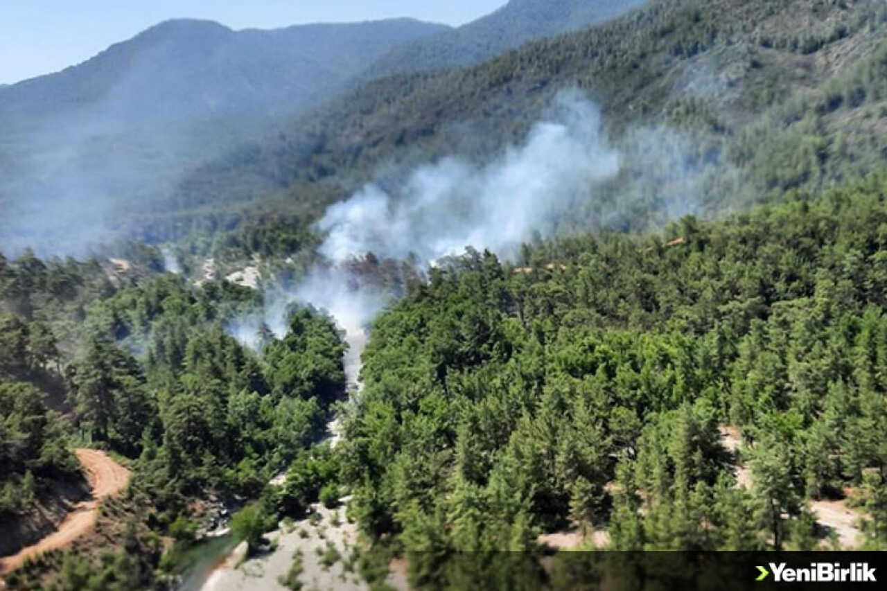 Muğla'da ormanlık alanda yangın çıktı