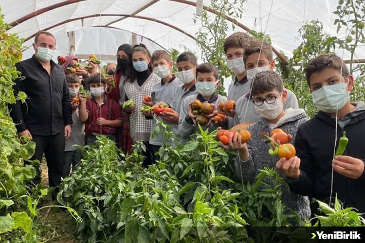 Bayburt'ta öğrencilerin yetiştirdiği ata tohumları köylülere dağıtılıyor