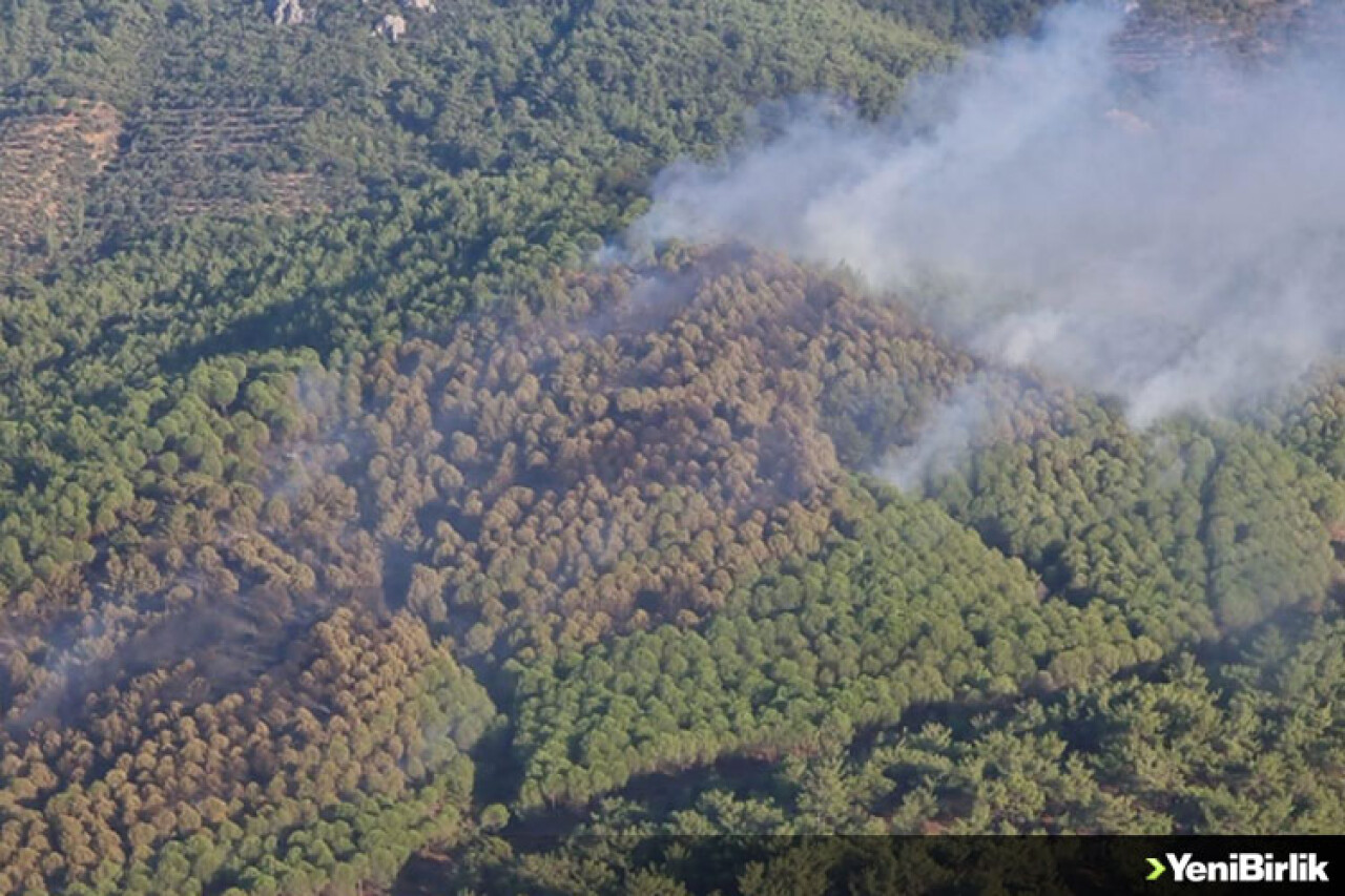 Balıkesir'de çıkan orman yangınına havadan ve karadan müdahale ediliyor