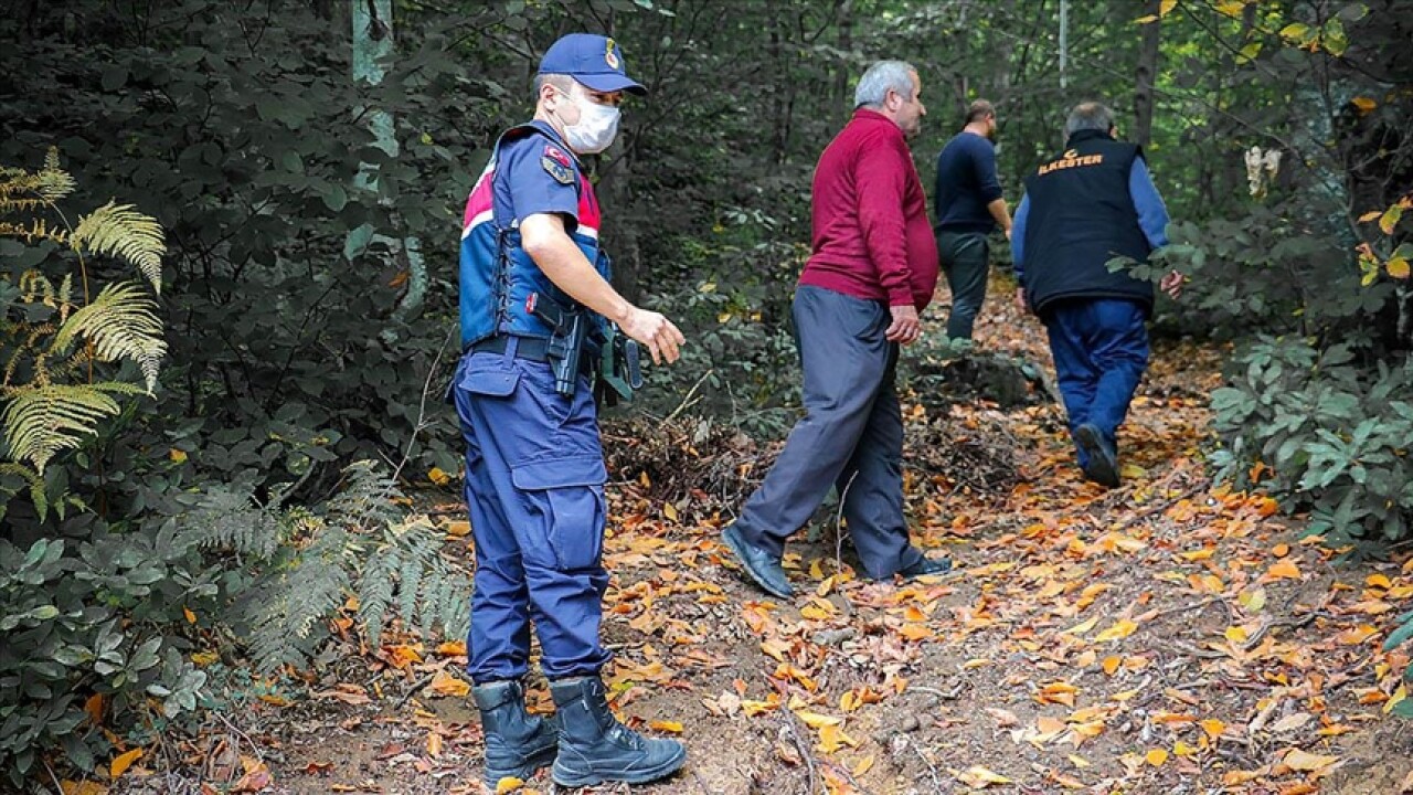 Kastamonu'da mantar zehirlenmeleri artınca jandarma harekete geçti