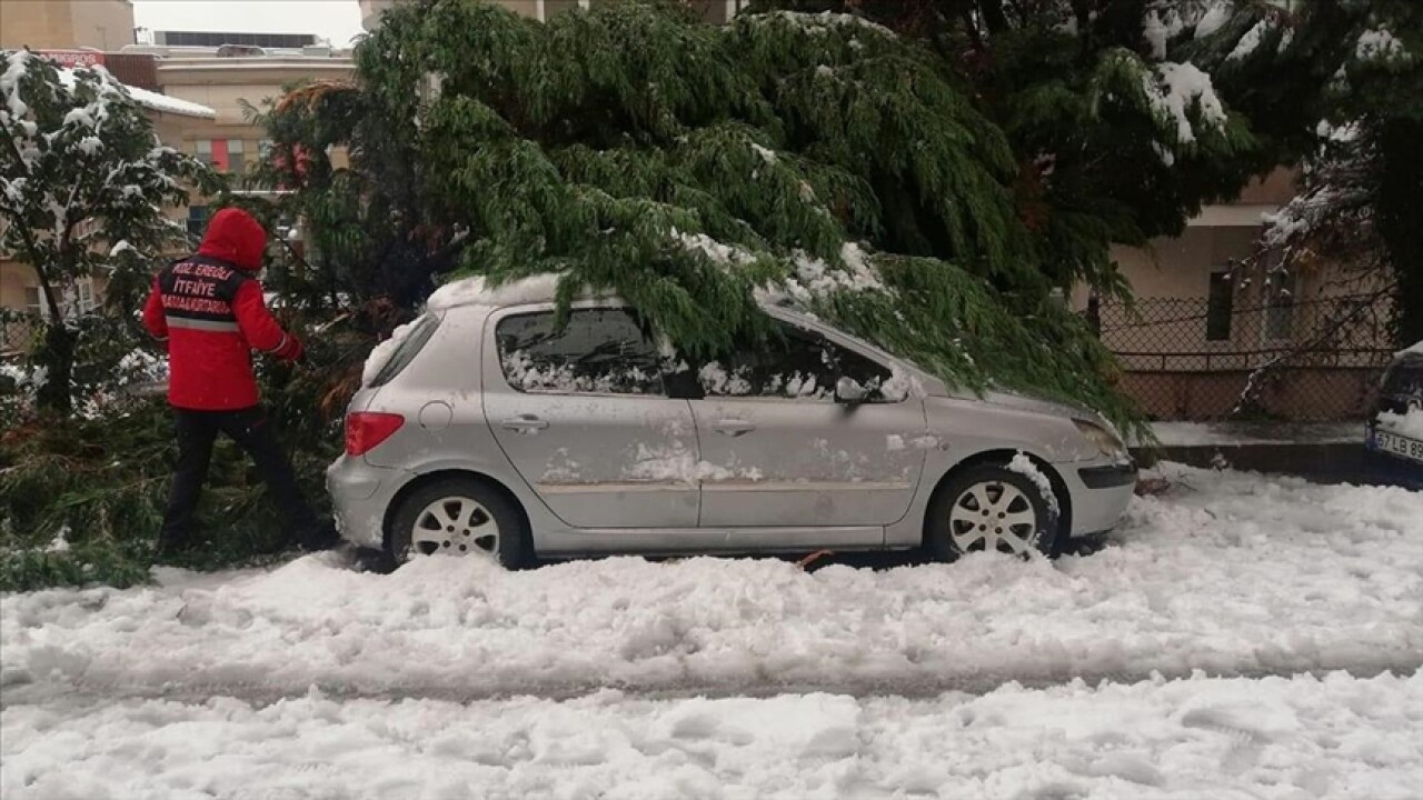 Zonguldak'ta yoğun kar yağışından devrilen ağaçlar 20 otomobile zarar verdi