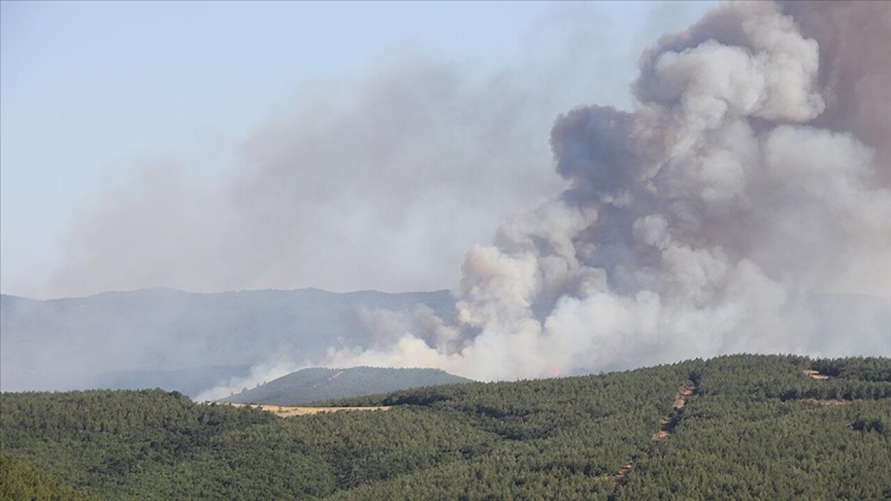 Tekirdağ'ın Malkara ilçesinde orman yangını