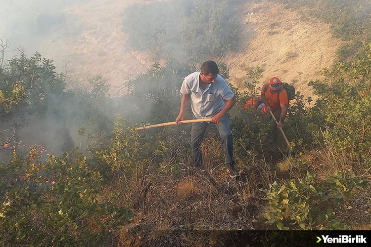 Tunceli'de çıkan örtü yangınına müdahale ediliyor