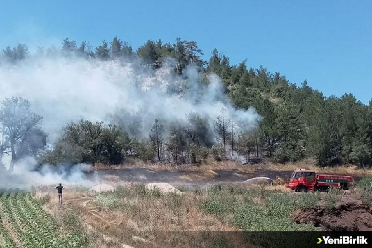 Bolu'da çıkan orman yangınına ekiplerce müdahale ediliyor