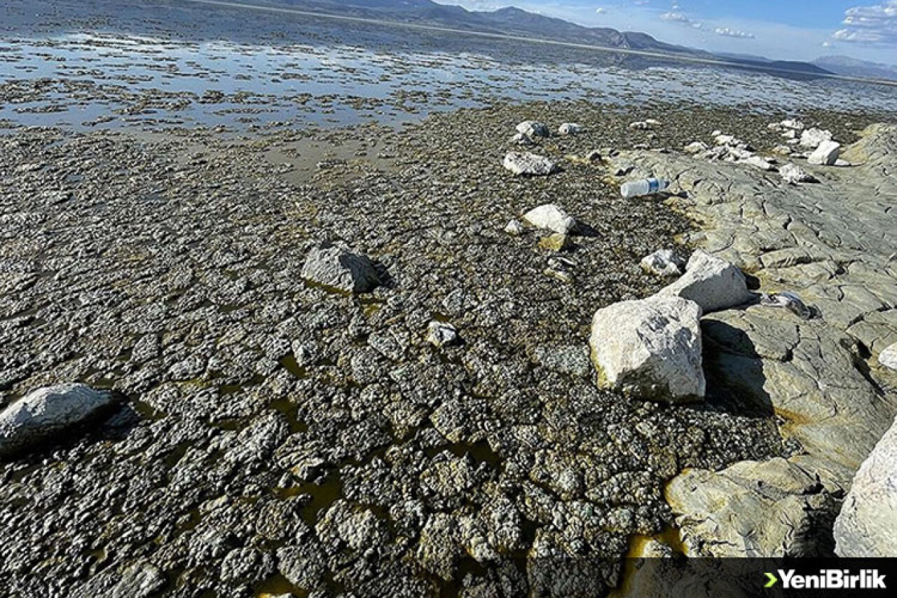 Burdur Gölü'nde alg patlaması suyun rengini değiştirdi