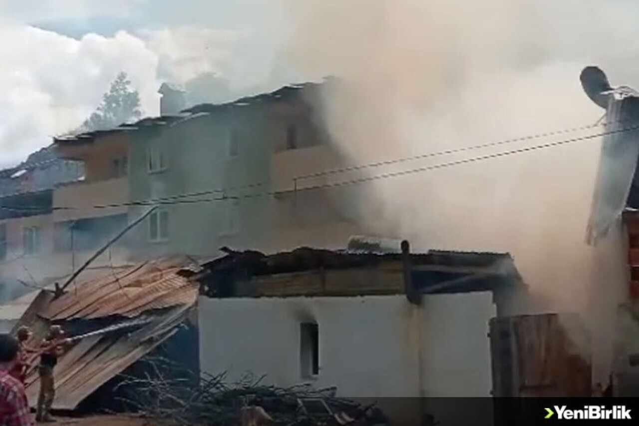 Erzurum'un Pazaryolu ilçesinde evlere sıçrayan yangına müdahale ediliyor