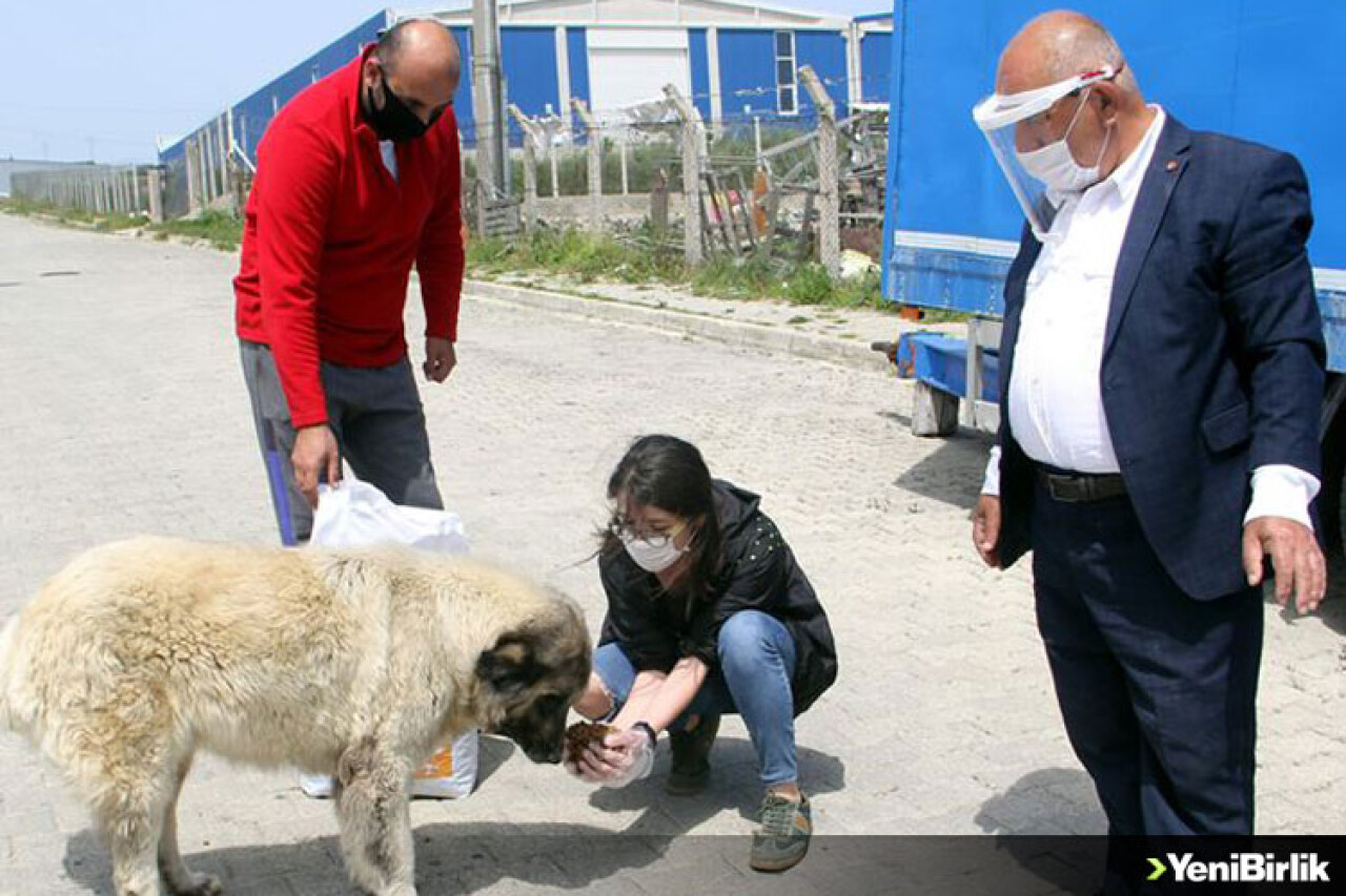 Can dostları için her gün yollara düşüyorlar