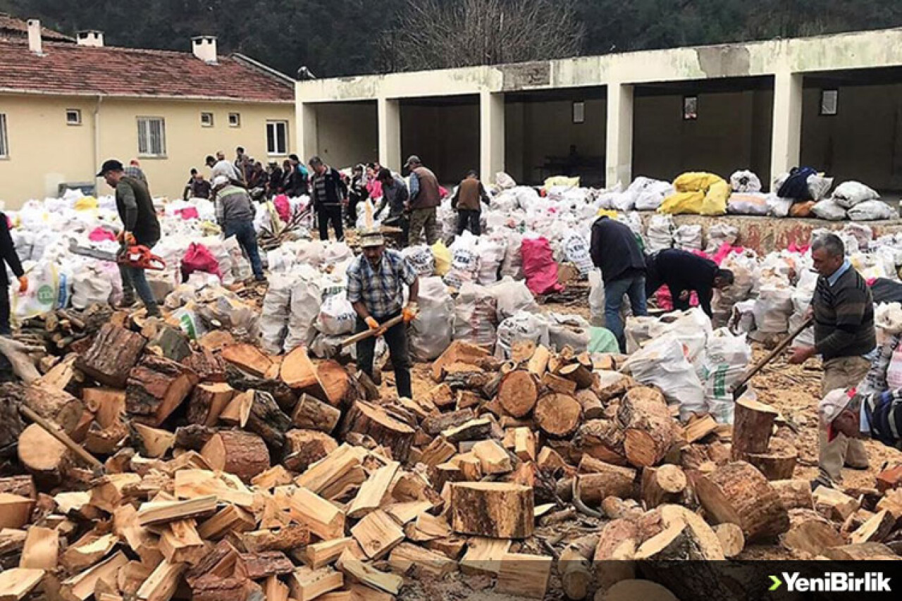 Bilecik'in en küçük ilçesi İnhisar'dan, afetzedelere 100 ton odun desteği