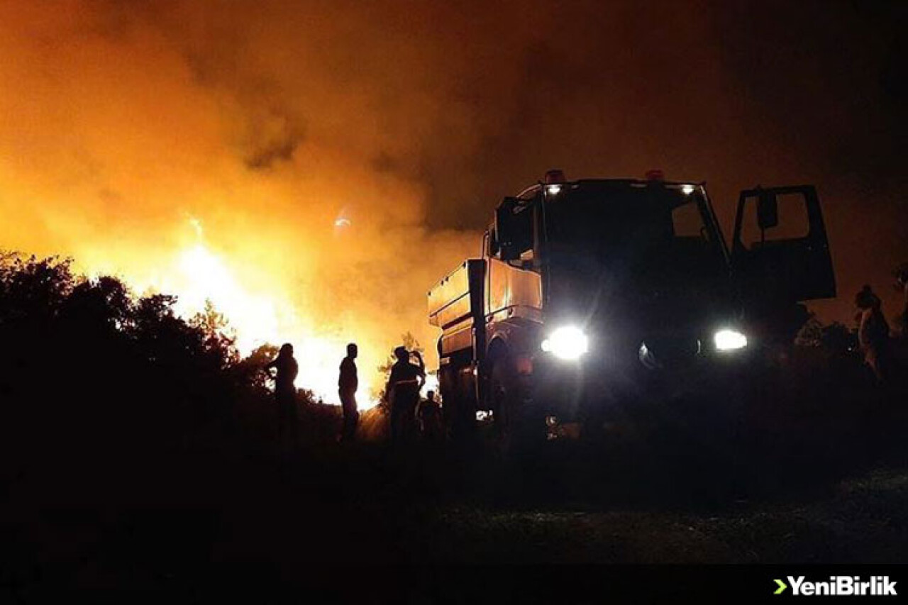 Antalya'da ormanlık alanda çıkan yangın kontrol altına alındı