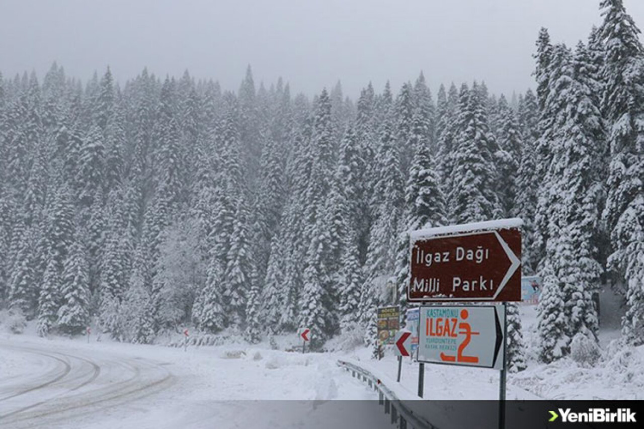 Ilgaz Dağı'nda kar kalınlığı 10 santimetreyi geçti