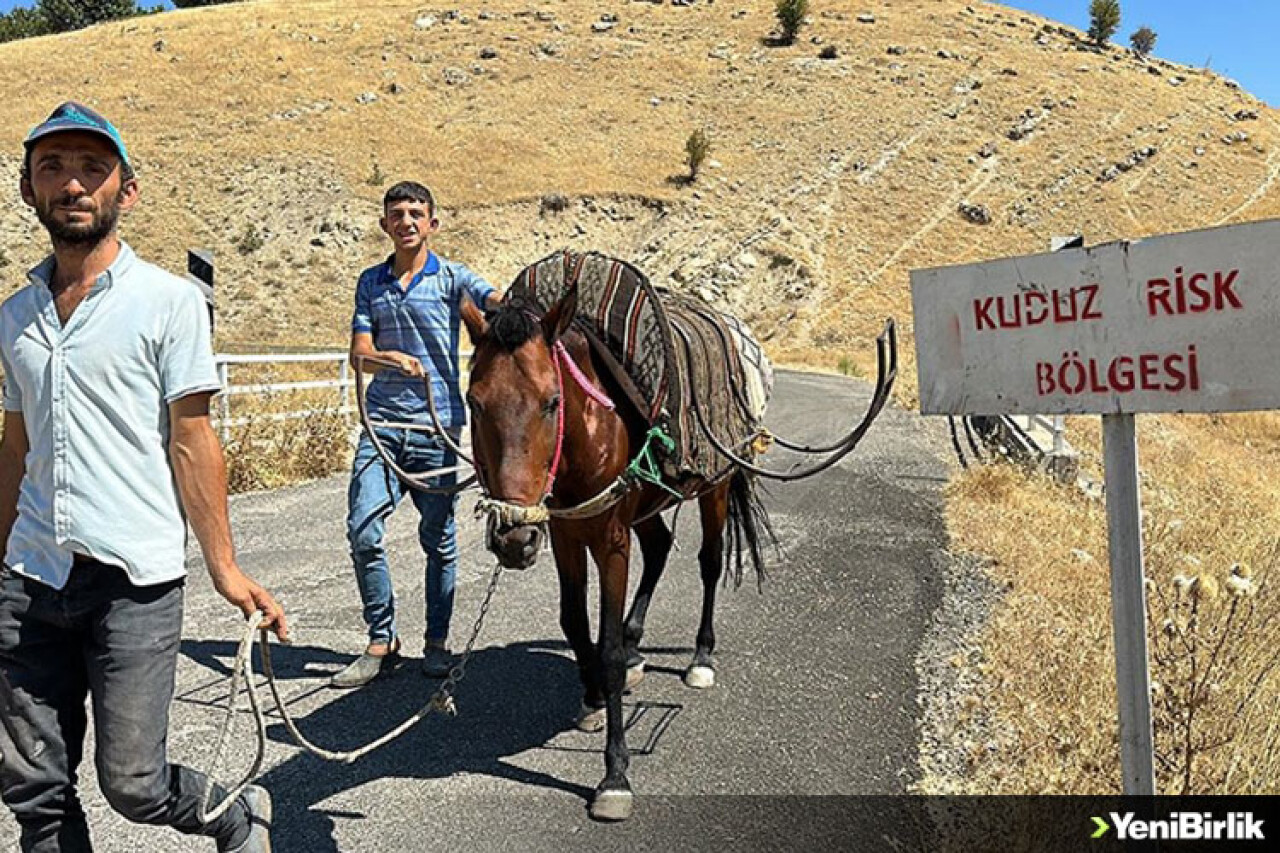 Adıyaman'da bir köy kuduz nedeniyle karantinaya alındı