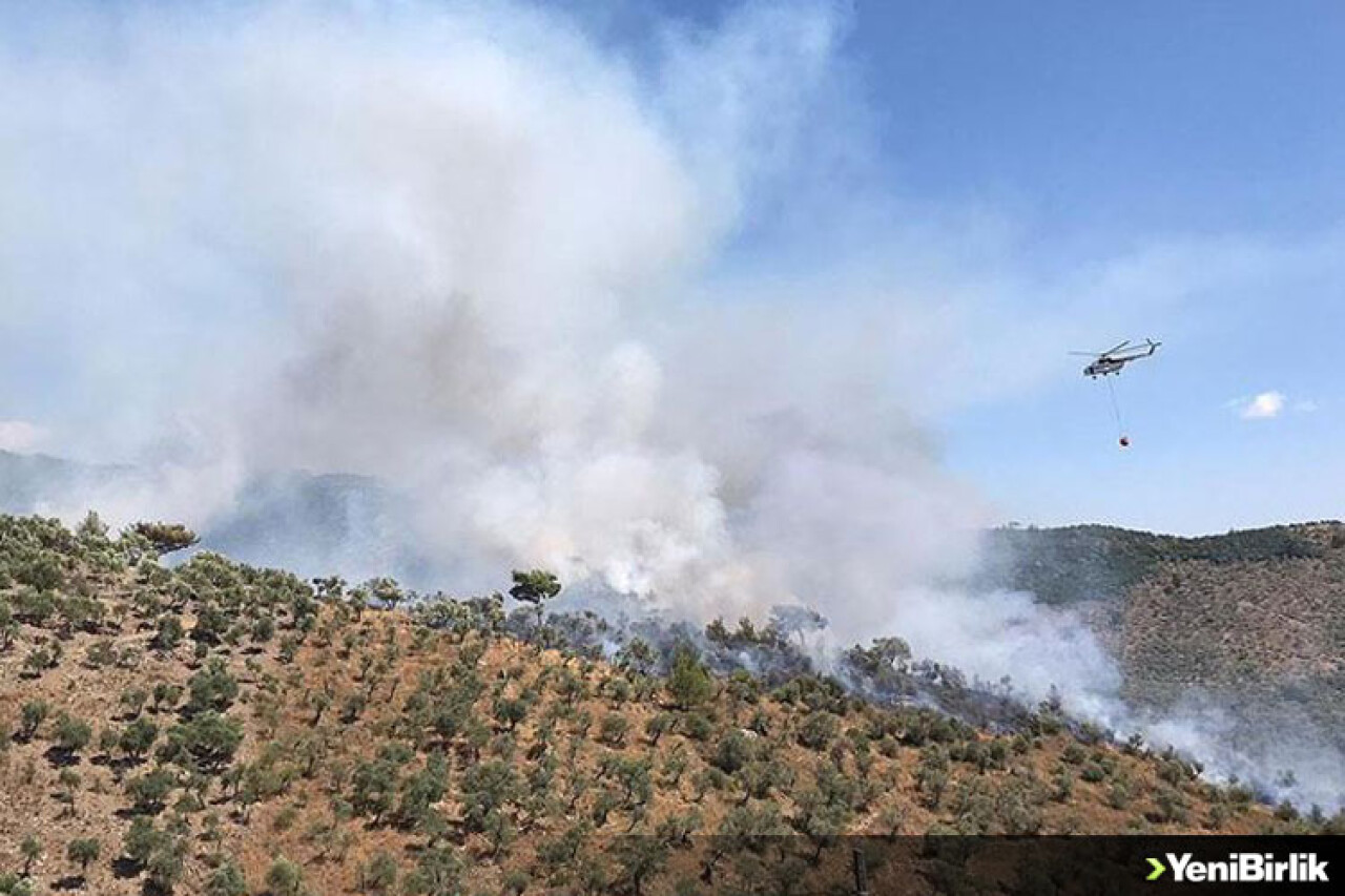 Muğla'da çıkan orman yangınına müdahale ediliyor